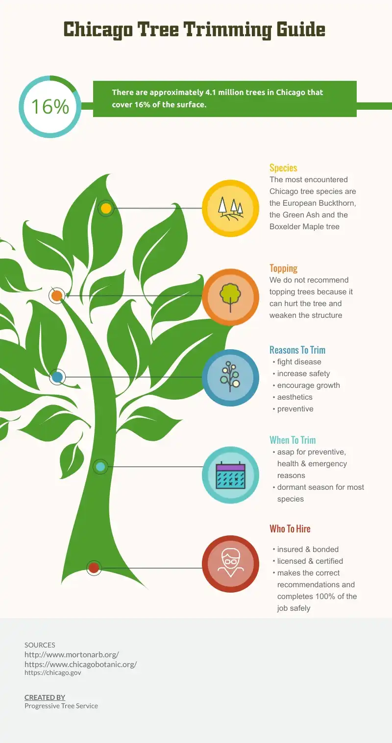 tree trimming guide Chicago - updated