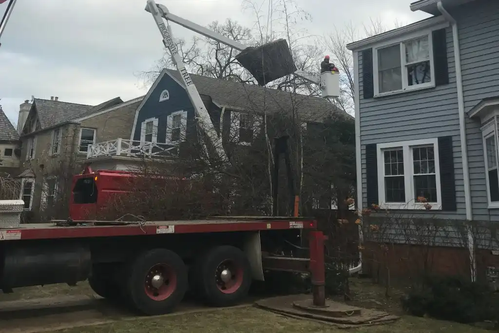 removing tree sections in wilmette il