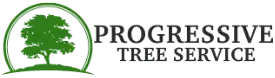 Tree Service Near Evanston & Chicago | Progressive Tree Service