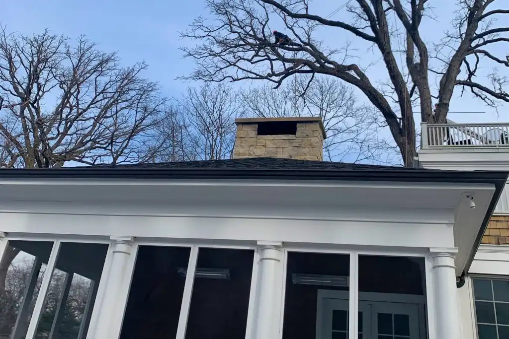 Tree Trimming Using Ropes And Saddle