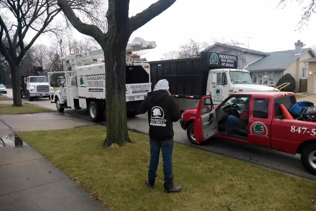 Tree Service Equipment