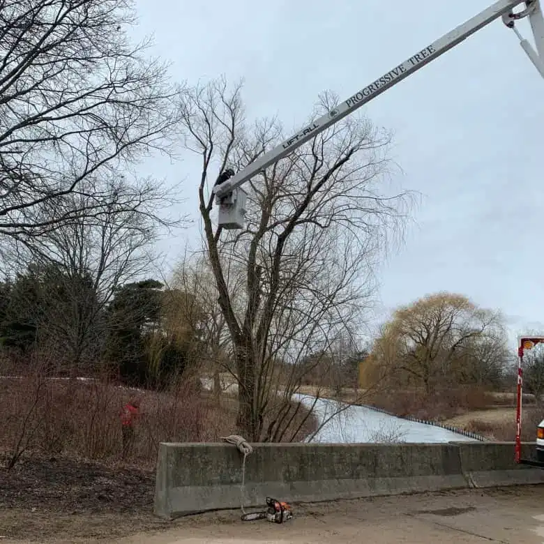 Progressive Tree Service Aerial Lift Progressive Tree Service Aerial Lift