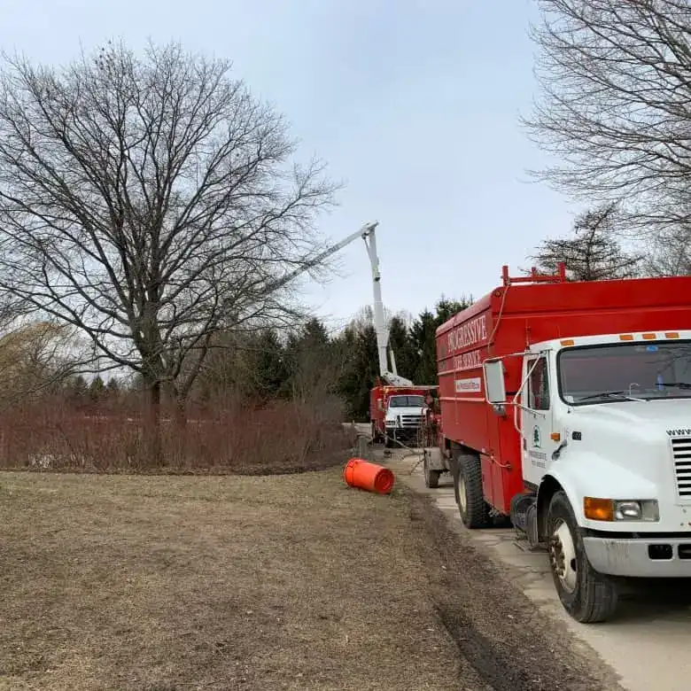 Tree Removal Trucks
