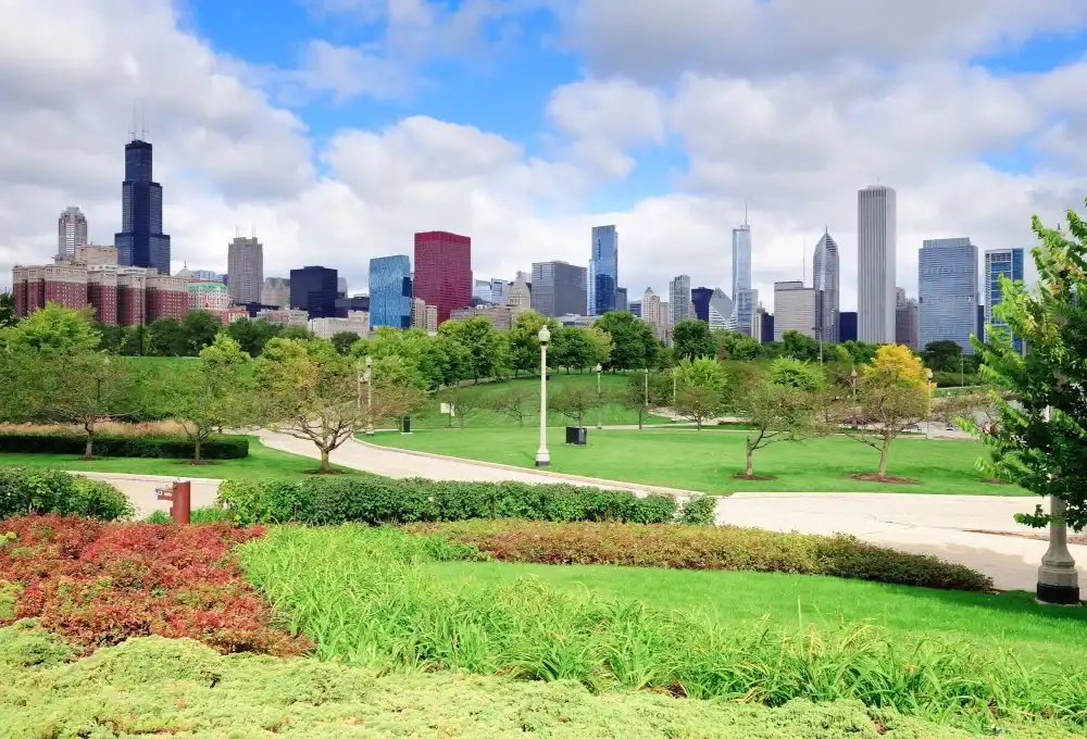 Chicago Urban Trees