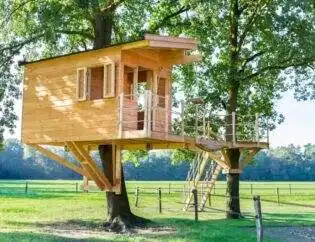 Tree House In Oak Trees