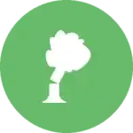 Tree Removal Service