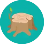 Tree Stump Removal Service