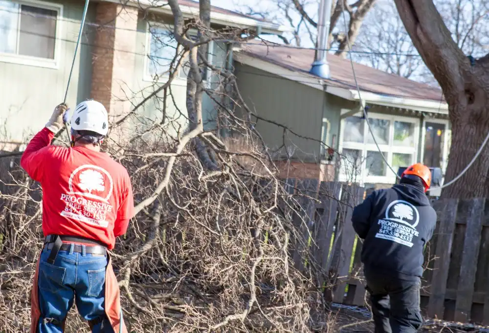 Taking Down A Branch