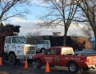 Tree Care Equipment