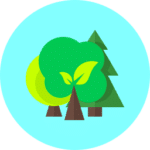 Tree Service Tree Service